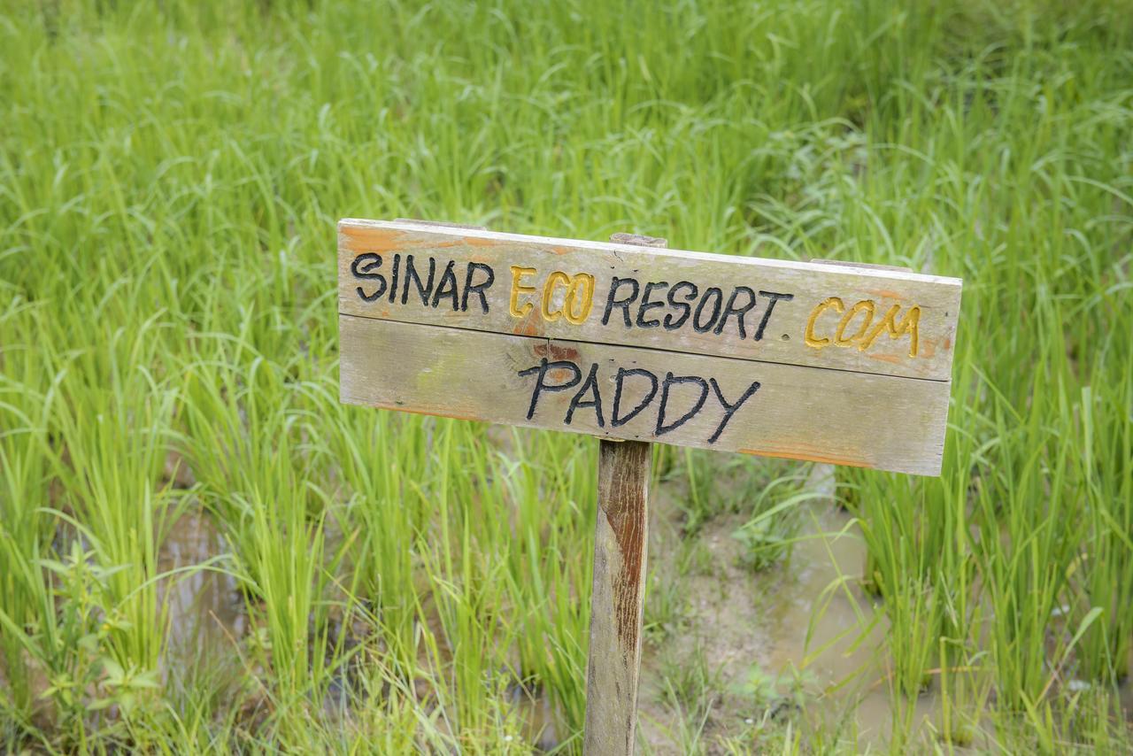Sinar Eco Resort Kampong Bukit Panjang Exterior foto